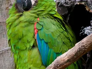 Zoológico de Quito