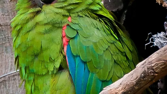 Zoologico de Quito