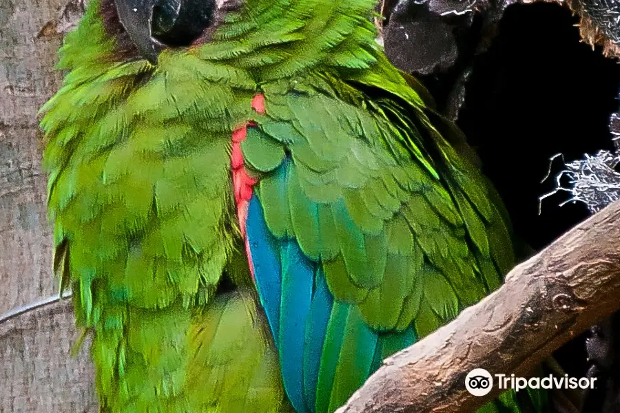 Zoologico de Quito