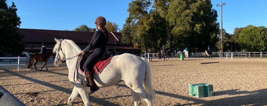 Haras de Jardy