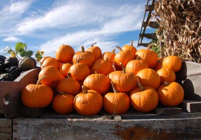 Hudak Farm Stand & Greenhouse