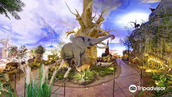 Centro Andaluz de la Fauna Salvaje