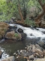 Cascadas Tulimán