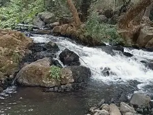 Cascadas Tulimán