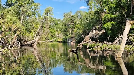 Wekiva Island