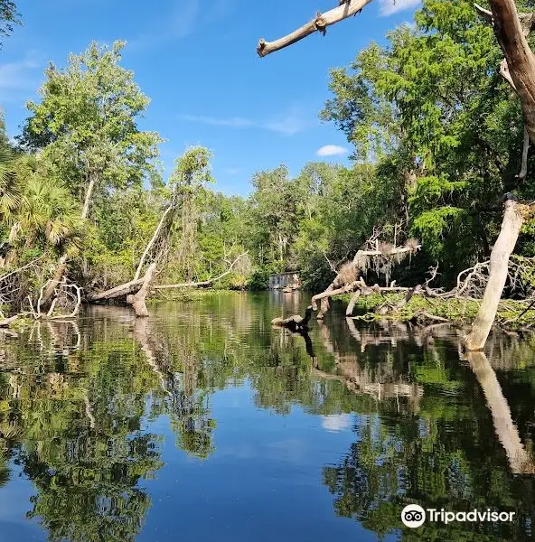 Wekiva Island