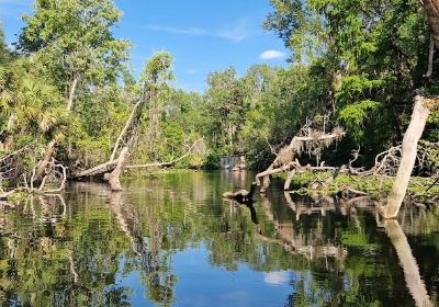 Wekiva Island