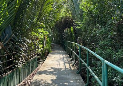 Sri Nakhon Khuean Khan Park And Botanical Garden