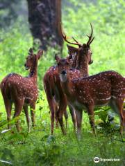 Nagarhole National Park