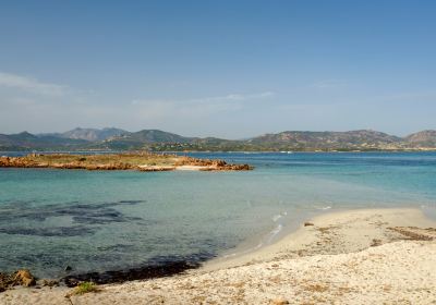 Marine Protected Area of ​​Tavolara - Punta Coda Cavallo