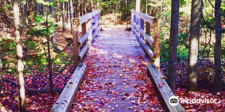 Irishtown Nature Park