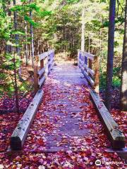 Parc naturel d'Irishtown