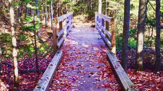 Irishtown Nature Park