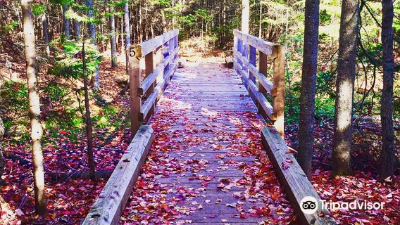 Irishtown Nature Park