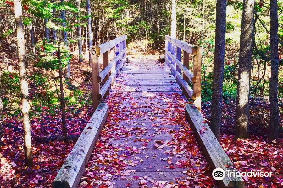 Irishtown Nature Park