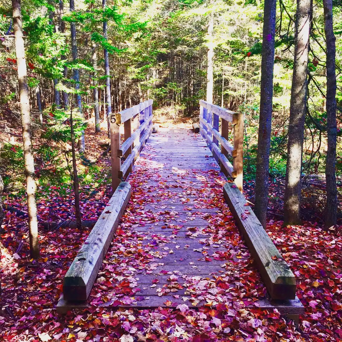 Hotels near Irishtown Nature Park