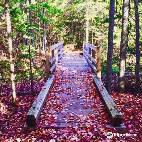Irishtown Nature Park