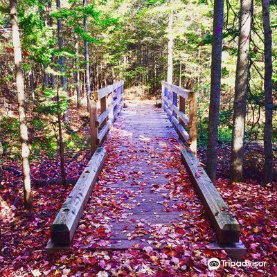 Irishtown Nature Park