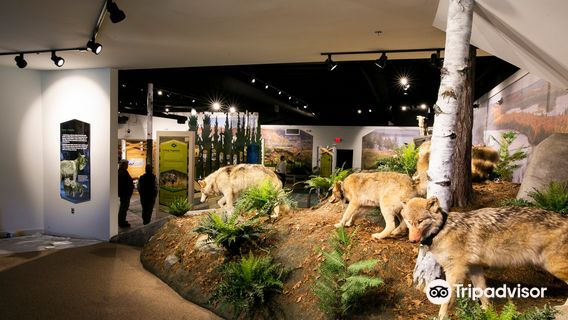 International Wolf Center