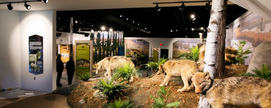 International Wolf Center
