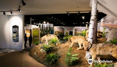 International Wolf Center