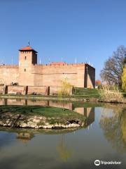 Castillo de Gyula