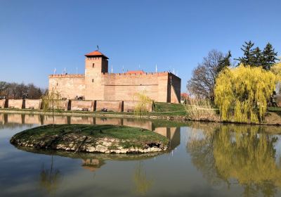 Château de Gyula