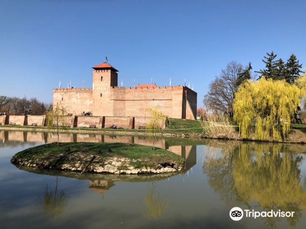 Gyula castle