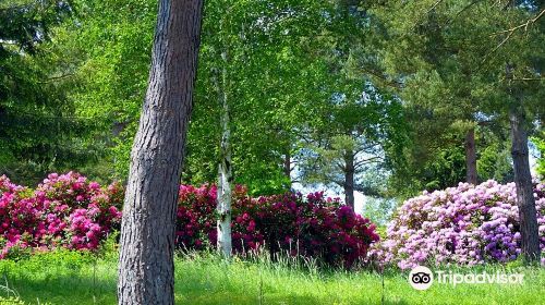 Rhododendronpark Jansen