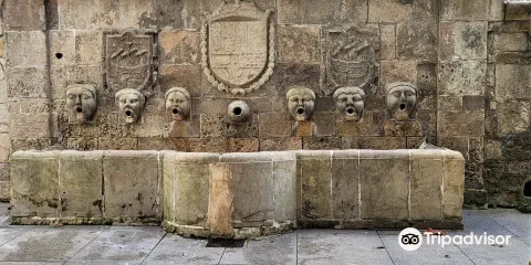 Fuente de los Canos de San Francisco