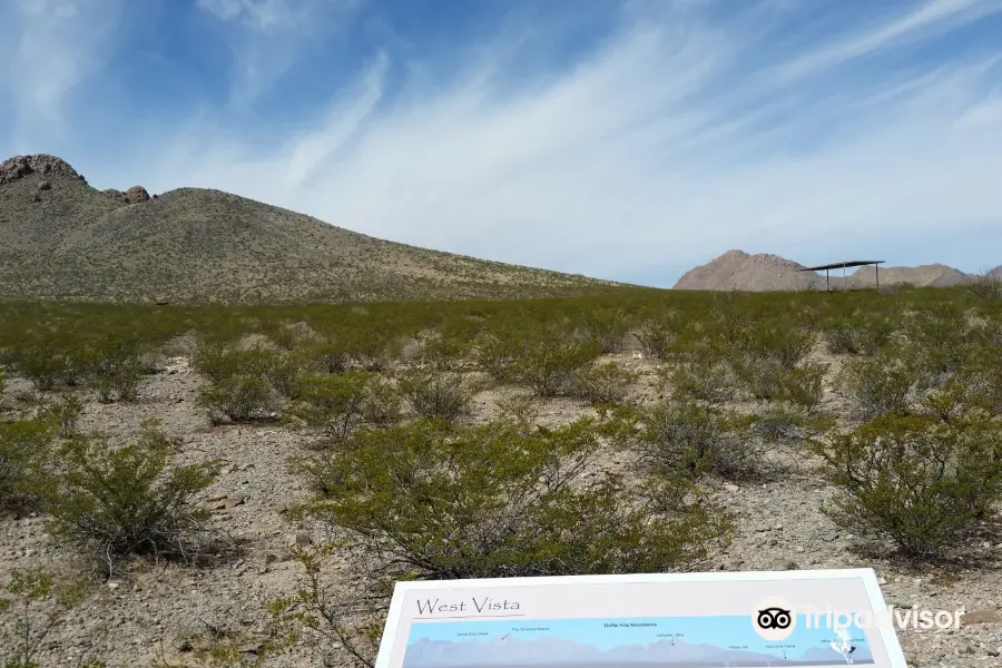 Chihuahuan Desert Nature Park