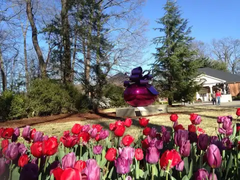 Hoteles cerca de Dixon Gallery & Gardens