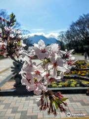 鹿児島県立吉野公園