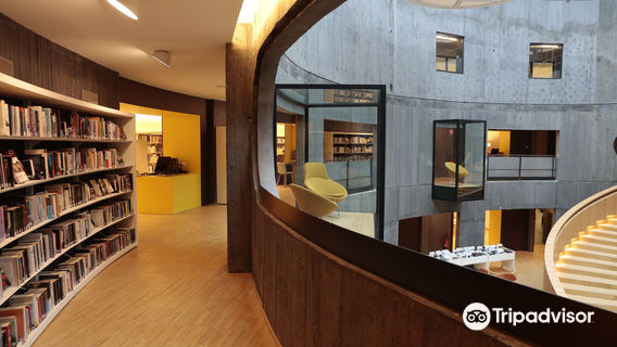 Bibliotheque Oscar Niemeyer