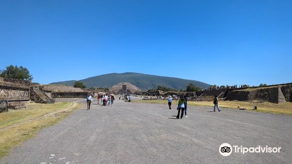 Teotihuacan Pyramids (Botanical Gardens)
