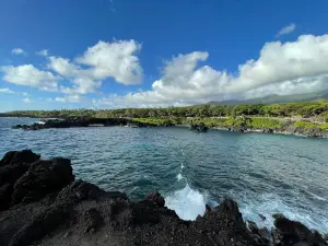 Honokalani Black Sand Beach