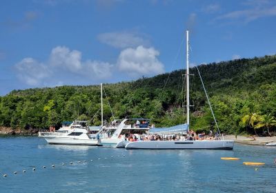 Anse la Raye Quarter