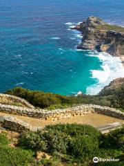 Cape Point Nature Reserve