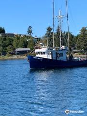 Jamie's Whaling Station and Adventure Centre - Ucluelet