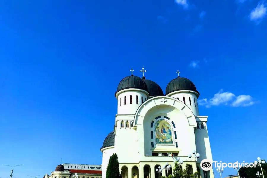 Holy Trinity Cathedral, Arad