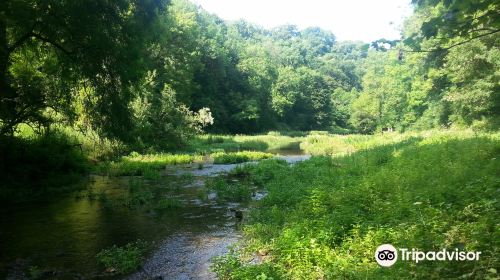 Limestone Way / Bradford River Walk