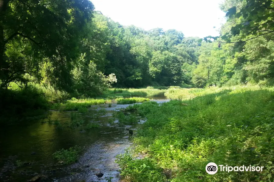 Limestone Way / Bradford River Walk