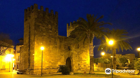 Alcudia