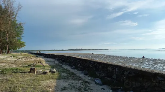 Tanjung Pendam Beach