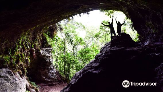 Reserva Natural y Ecoturística Las Dalias