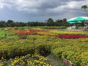 Mariano's Blooming Agri-Tourism Park