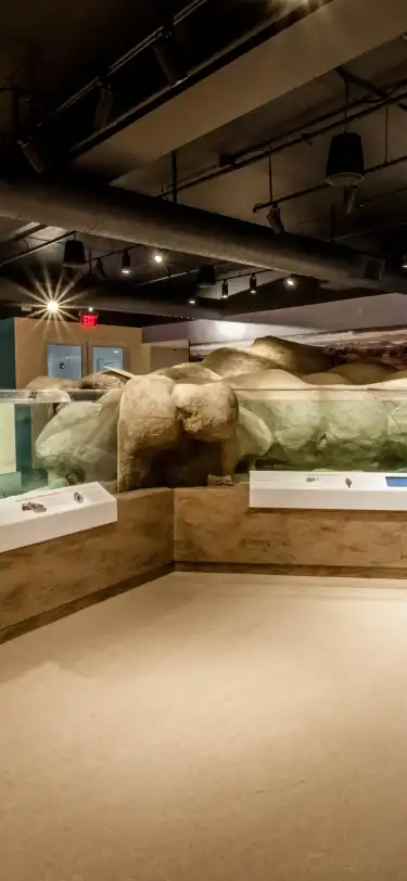 Сеть Марриотт в г. Стьюарт 