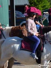 Anglesey Riding Centre