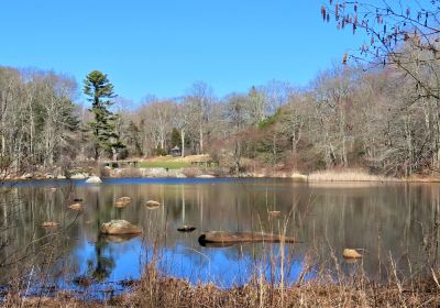 Connecticut College Arboretum