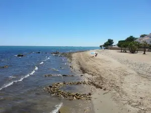 Playa Baconé